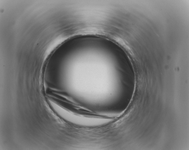 X0000088361469200706121043