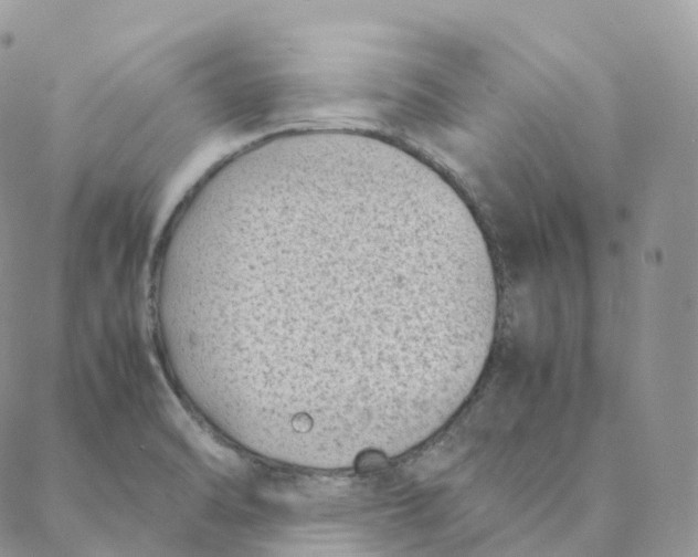 X0000088361470200706121043