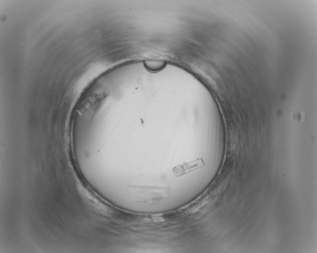 X0000088361471200706121043