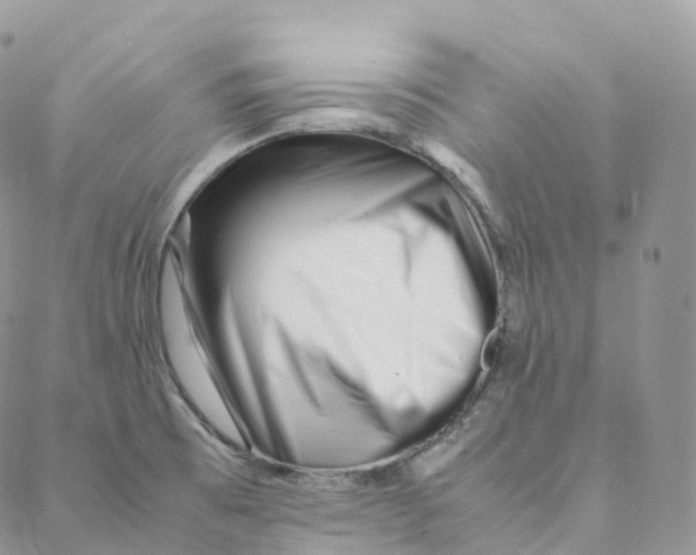 X0000088361473200706121043