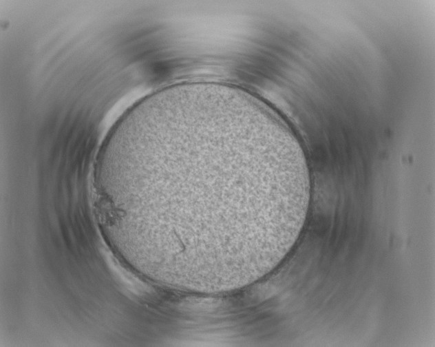 X0000088361474200706121043