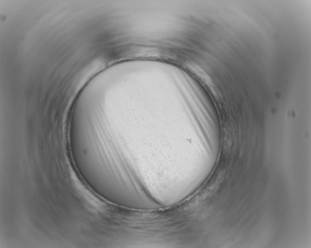 X0000088361475200706121043