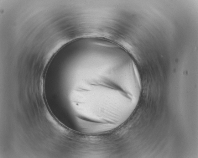 X0000088361476200706121043