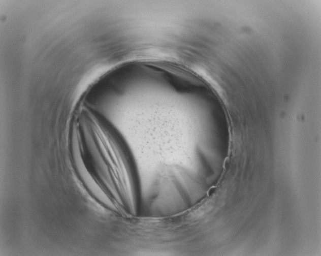 X0000088361477200706121043