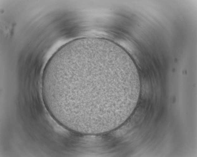 X0000088361478200706121043