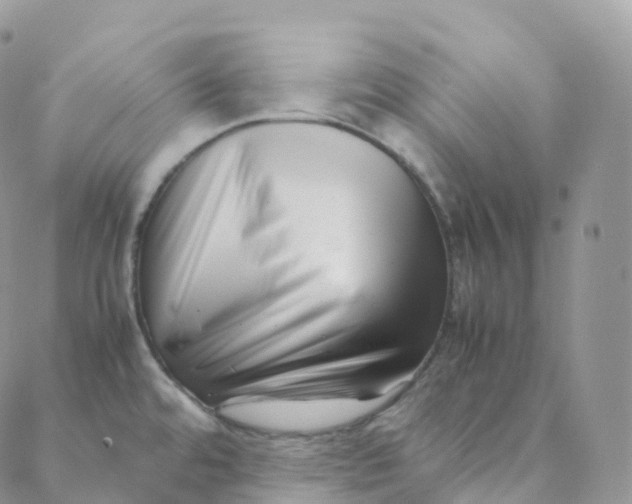 X0000088361480200706121043