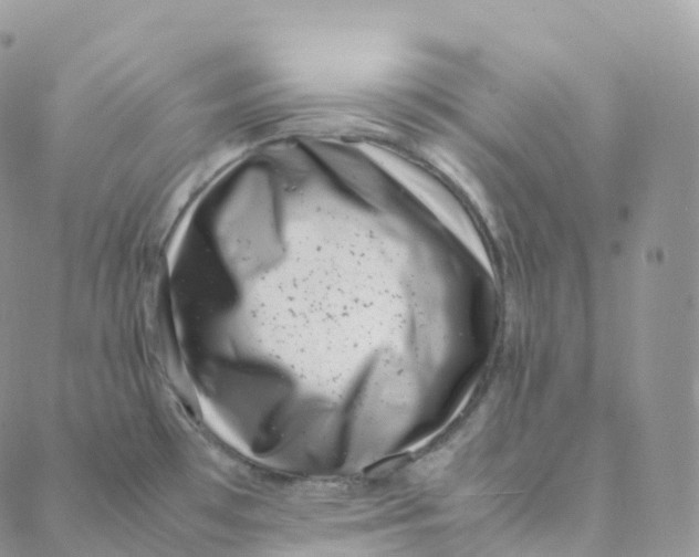 X0000088361481200706121043