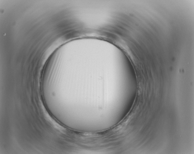 X0000088361483200706121042