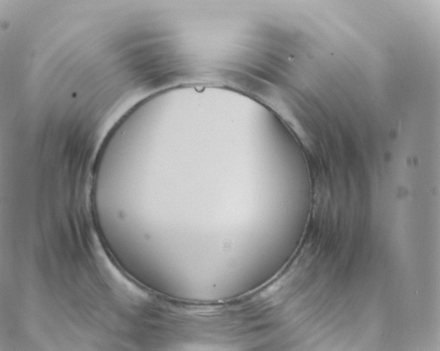 X0000088361484200706121042