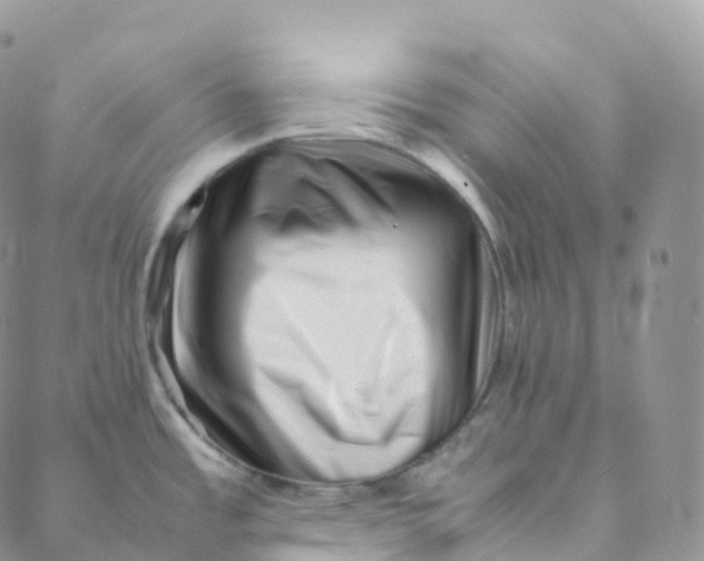 X0000088361485200706121042