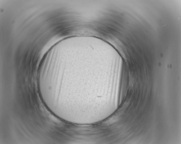 X0000088361486200706121042