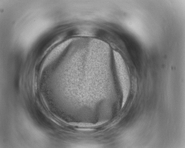 X0000088361487200706121042