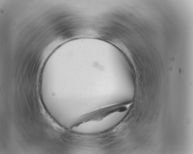 X0000088361488200706121042