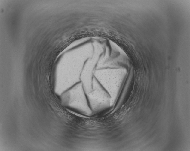 X0000088361489200706121042