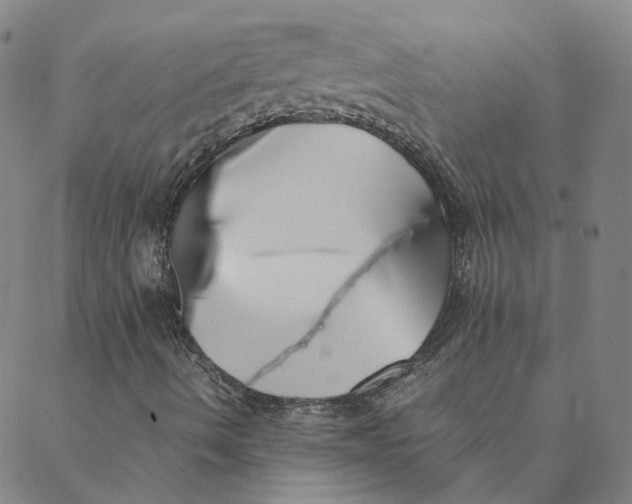 X0000088361490200706121042