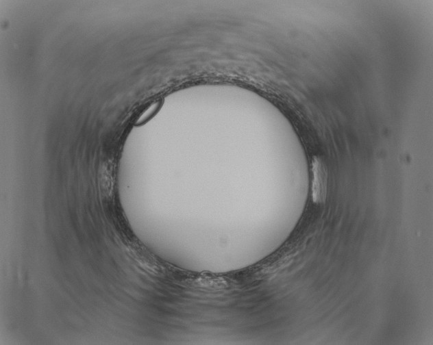 X0000088361491200706121042