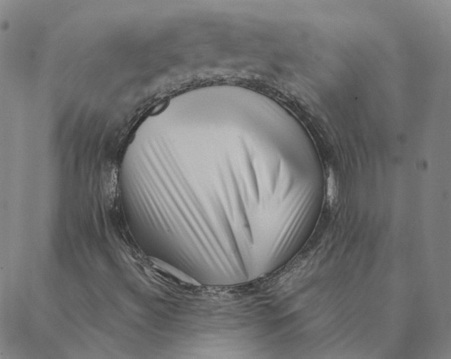 X0000088361492200706121042