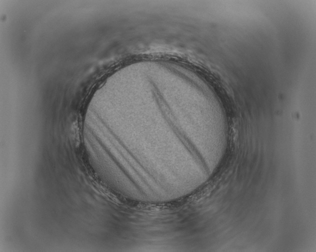 X0000088361493200706121042