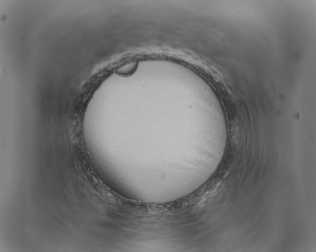 X0000088361494200706121042