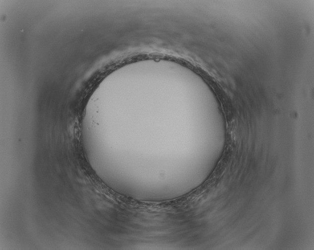 X0000088361495200706121042