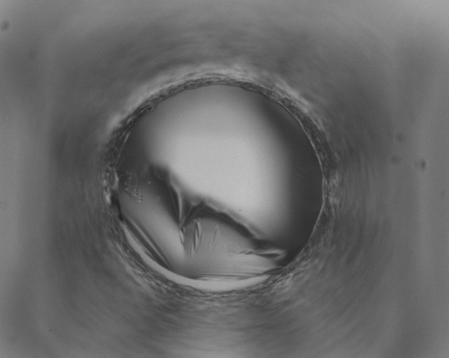 X0000088361496200706121042