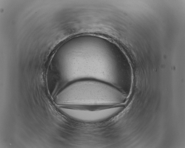 X0000088361497200706121042