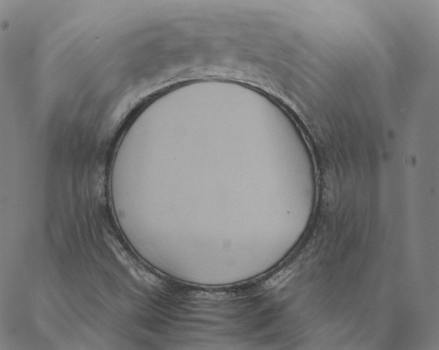 X0000088361499200706121042