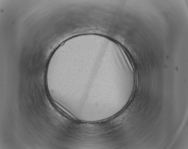 X0000088361500200706121042