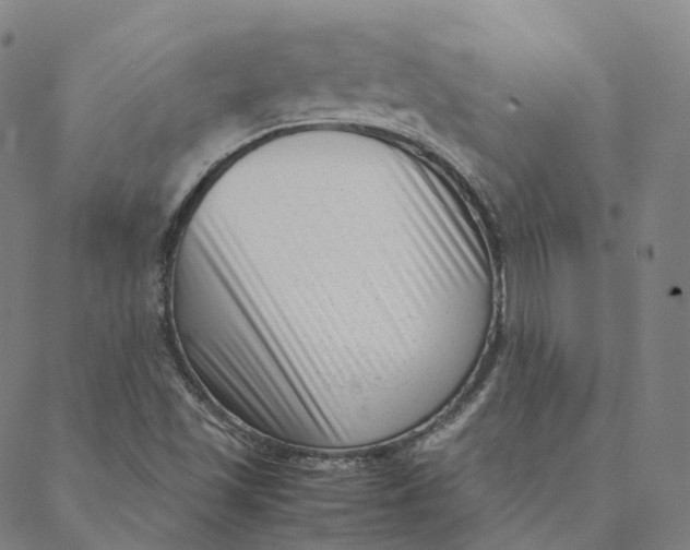 X0000088361501200706121042