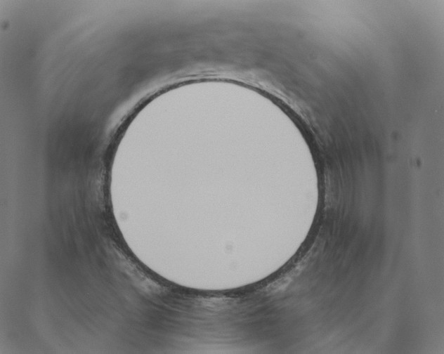 X0000088361502200706121042