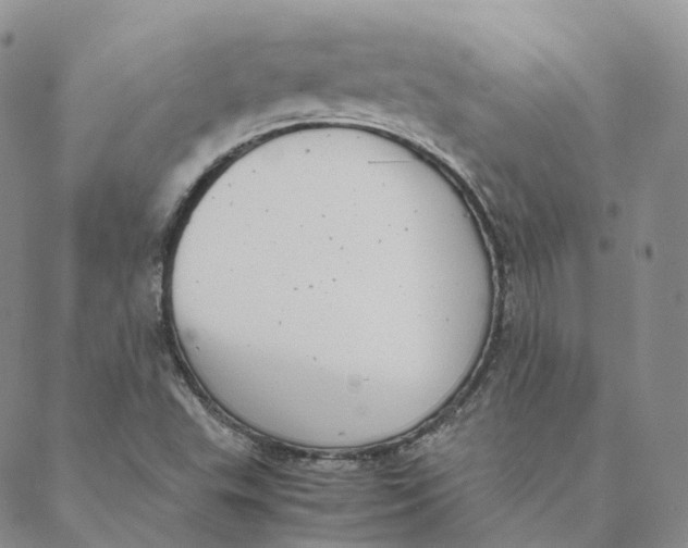 X0000088361503200706121042