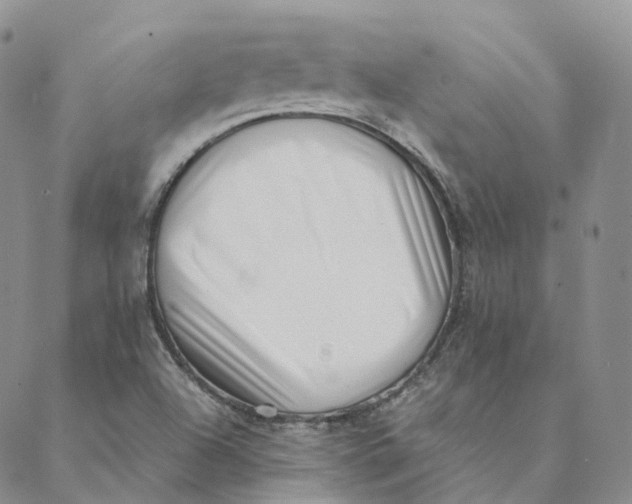 X0000088361504200706121042