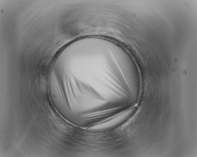 X0000088361505200706121042