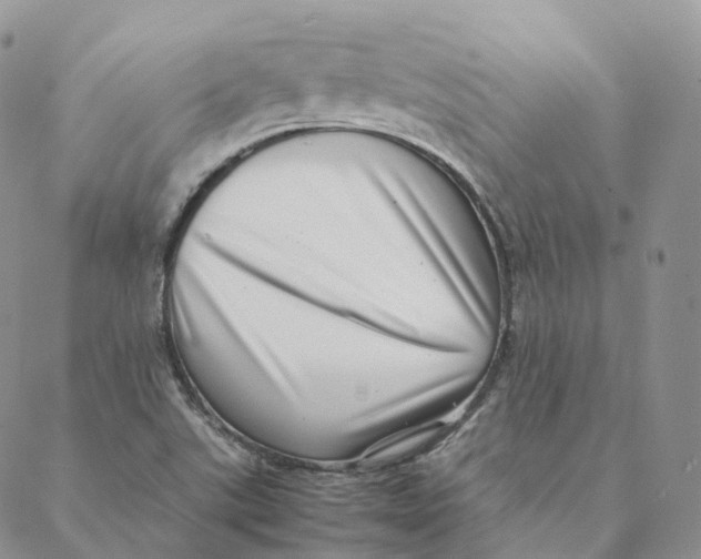 X0000088361507200706121042