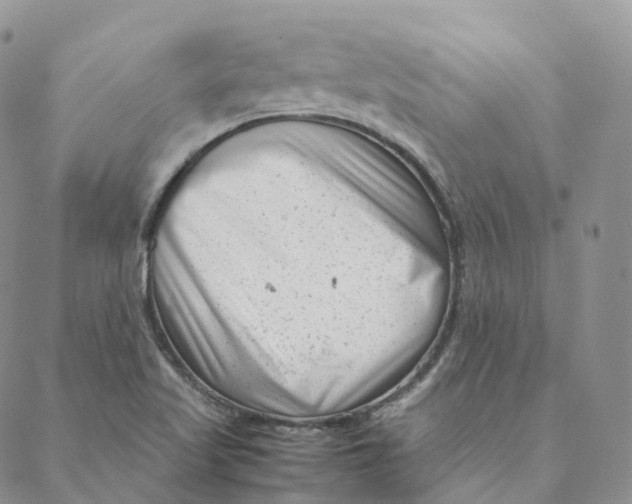 X0000088361509200706121042