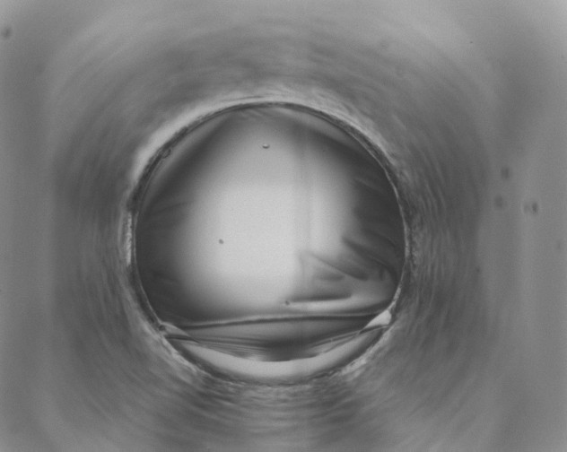 X0000088361510200706121042