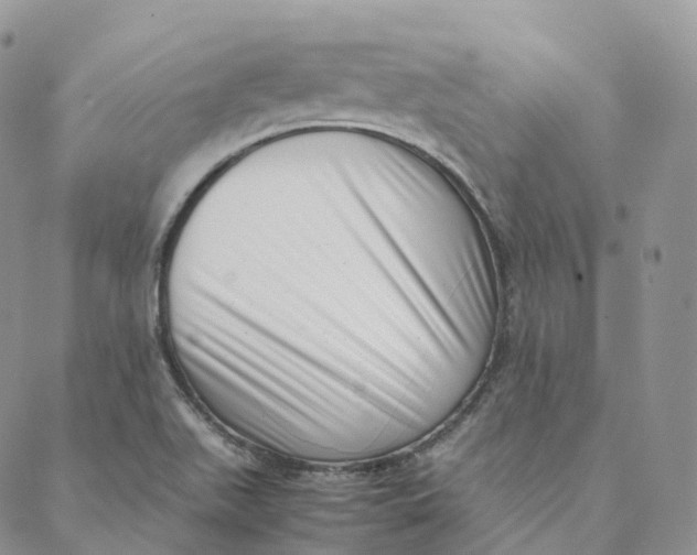 X0000088361511200706121042