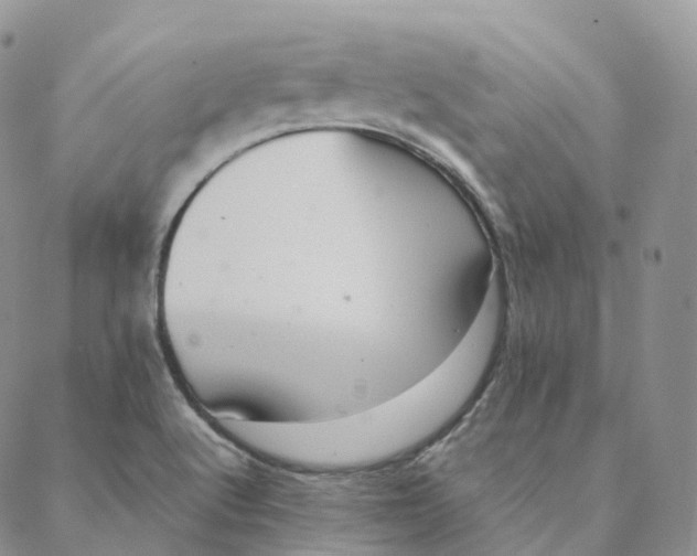 X0000088361512200706121042