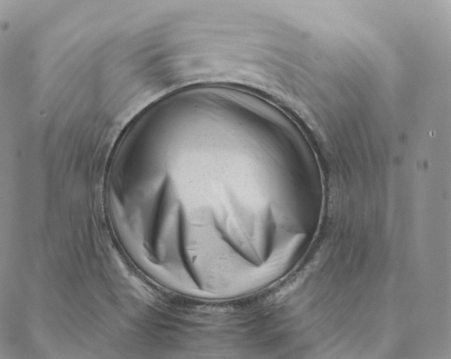 X0000088361513200706121042