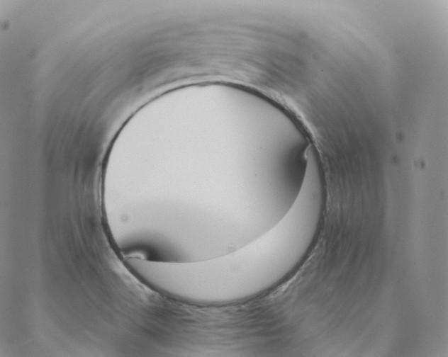 X0000088361516200706121042