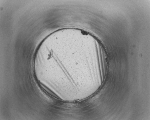 X0000088361517200706121042