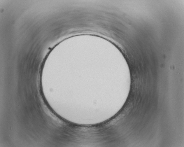 X0000088361518200706121042