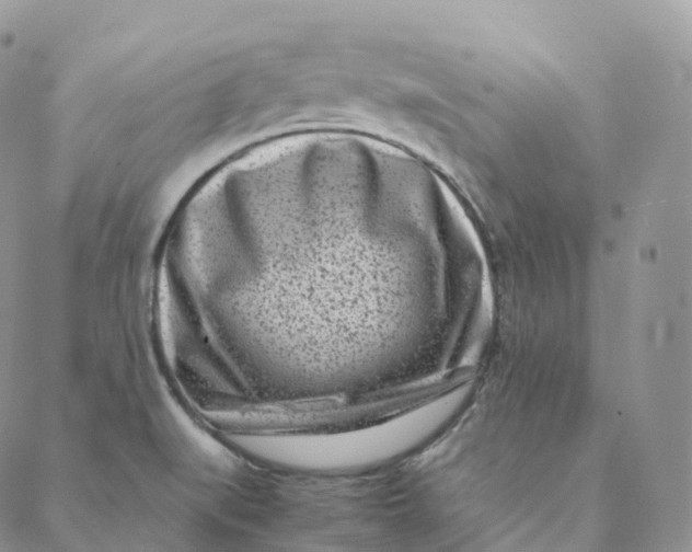 X0000088361519200706121042