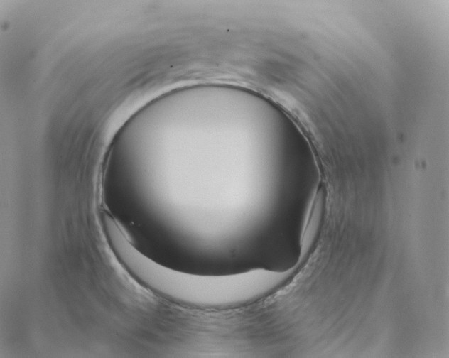 X0000088361520200706121042