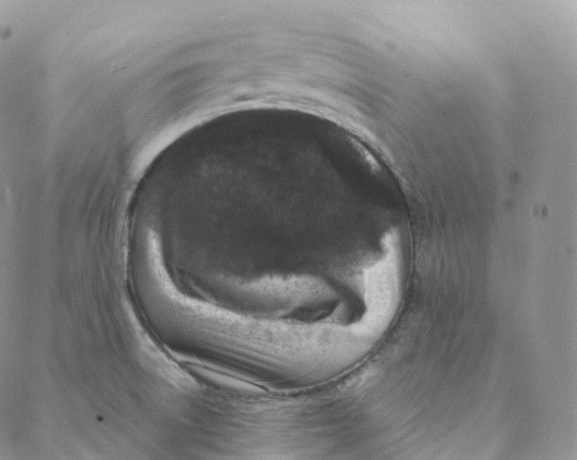 X0000088361522200706121042