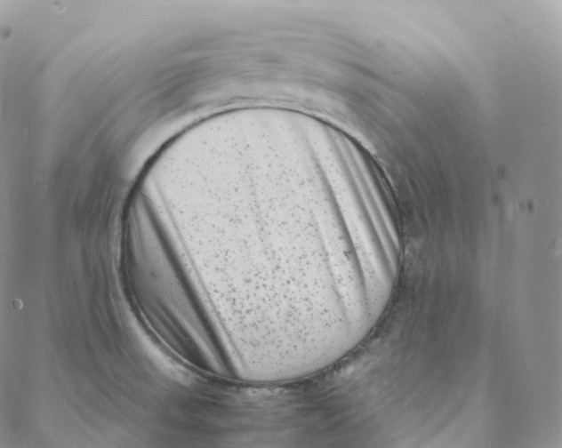 X0000088361523200706121042