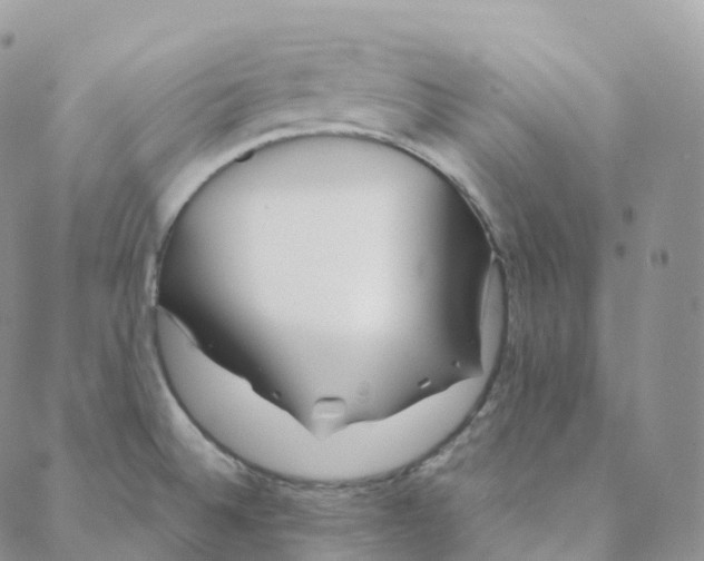 X0000088361524200706121042