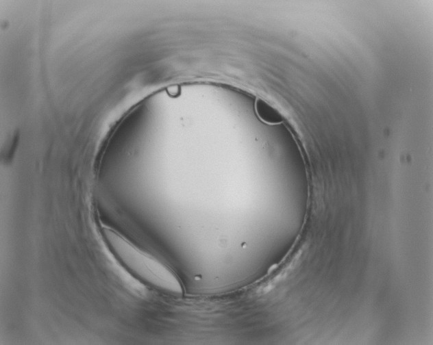 X0000088361525200706121042