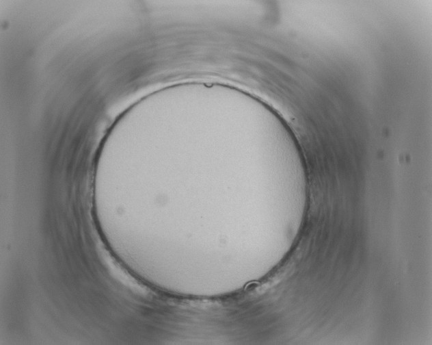 X0000088361526200706121042