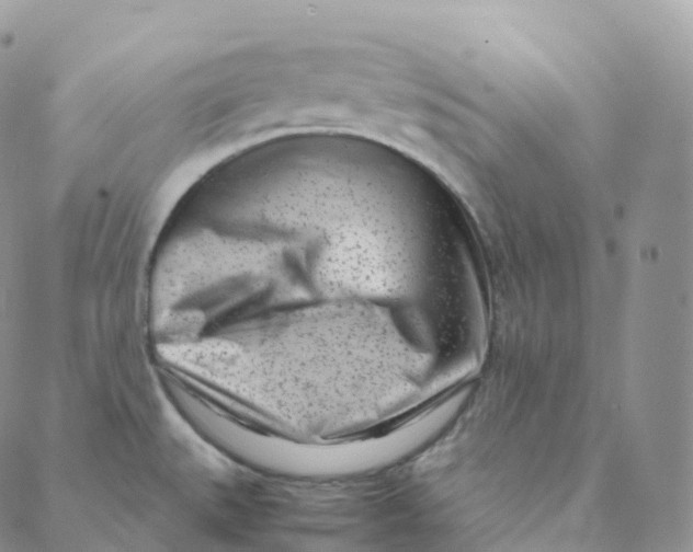 X0000088361527200706121042